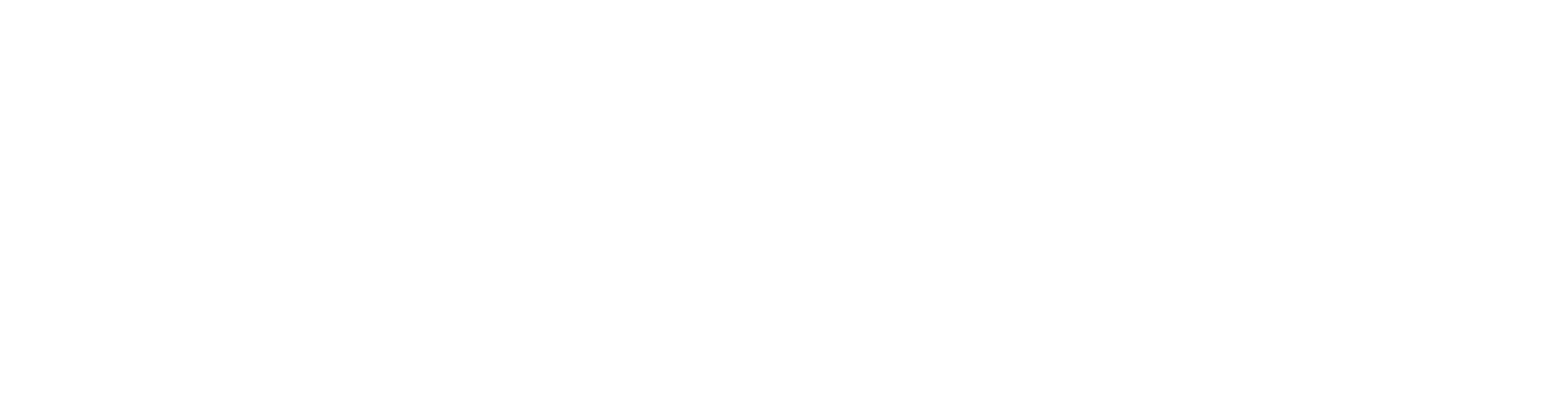 Blue Horizon Insurance